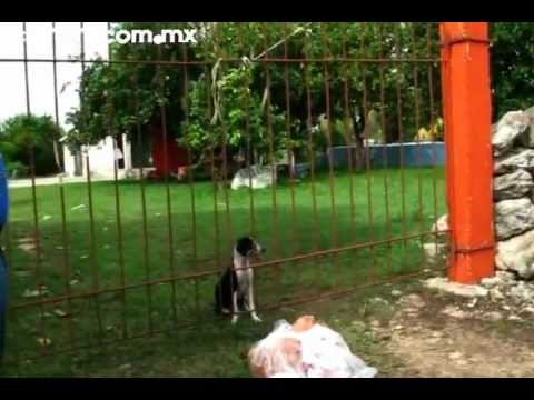 Imagen de previsualización de YouTube