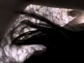 MOV00011 MOV00011