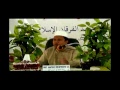Ushul Fiqh_Ust. Hafidz Musthofa, Lc. Sesi 6