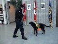 Canine Remote Deployment System Mark II -- Double Drop