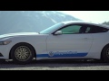 Pedders Extreme XA Coilover Kit (Part Number: 160099) Pedders Extreme XA Coilover Kit - Ford Mustang 2015+