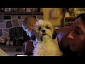 DONSMOOVE – VLOG #8 (SHIMMYCOCOPUFFSSS MIXTAPE BEATS FROM THE EAST MICHELLE MARTINEZ JAM 4 JAPAN)