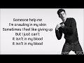 Shawn Mendes - In My Blood (Lyrics)