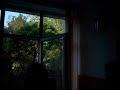 foarte-tare-amuzant-