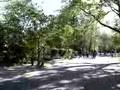 Biking through Vondel Park, Amsterdam