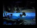 timmy vs cartmen halo 3