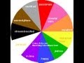 View 15 Color Meanings Real Mood Ring Chart