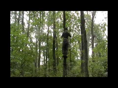 how to locate big bucks