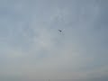 F4D SkyRay F4D SkyRay