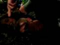 videos de títere melchi