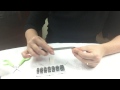 DIY Sephora nail patch tutorial (Lace"Black boudoir" nails)