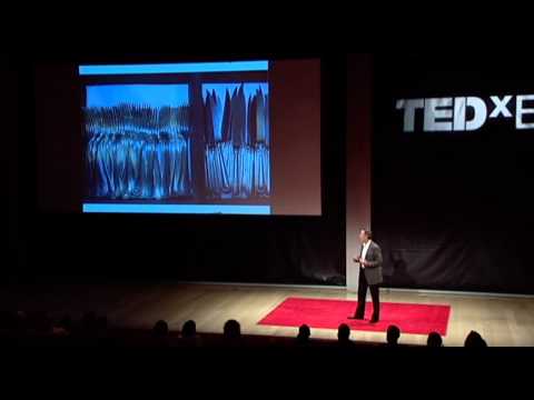 restaurant - TEDxEast INTERCONNECTIVITY - 11.11.10: -Thomas Keller- The Reach of the Restaurant As an owner of several successful restaurants, Thomas Keller delighted the...