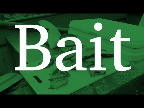 Bait Bait