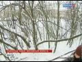 Видеоновость Подмосковье. Собаки стали живыми мишенями для местного жителя