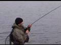 Norway's Oslo Fjord Sea Bass (Runar Kabbe)