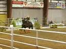Libby Vaulting