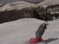 ski & snowbord ski & snowbord