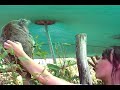 australia. zoo, petting koalas! australia. zoo, petting koalas!