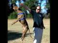 videos de Camber 12-1-08.mov