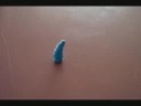 The UGLY Blue Worm..........Thing