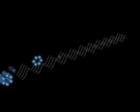 Synapt HDMS System - Ion Mobility ...