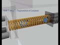 Synapt HDMS System - Ion Mobility Spectrometry Synapt HDMS System - Ion Mobility Spectrometry