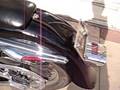 1993 Harley Davidson FLSTC Soft Tail 3/3