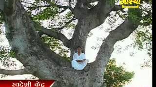 सेमल Simal Tree