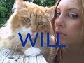 whos the pussy now? female vs  feline