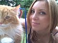 whos the pussy now? female vs  feline