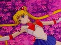 Sailor Moon-Cartoon Heroes