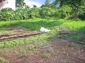 2000sqm Residential lot For Sale