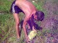 durianrider:hunting real food...