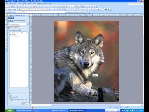how to bleed on publisher