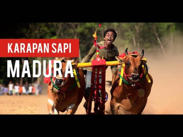 gei bintang versi original lagu daerah mp3downloadonline gei bintang versi original lagu daerah mp3downloadonline