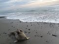 Mischiefreleasedec20.MOV