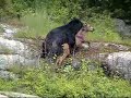 hunt-ak-06-part-2of4.html