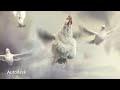 Autodesk 2012 Corporate Show Reel