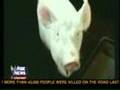 Fox News ...
