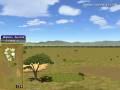 videos de Golden Tee Great Shot on Grand Savannah!