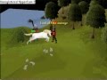 videos de Runescape: Comedy Video Preview