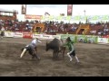 zapote 2008, campeonato internacional, ganaderia bleak