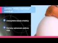 Zobacz Wideo