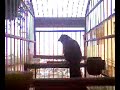 Trinca Ferro \"bom dia tio chico\" do Maluc�o
