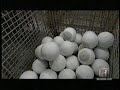 learn-how-to-bowl-properly.html