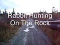 Rabbit Hunting