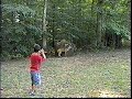 Me and my boys chunking some darts andhaving fun.