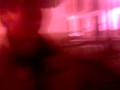 Vid 019