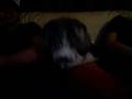 videos de Dig a hole