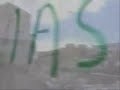 canarias libre (pintadas) canarias libre (pintadas)
